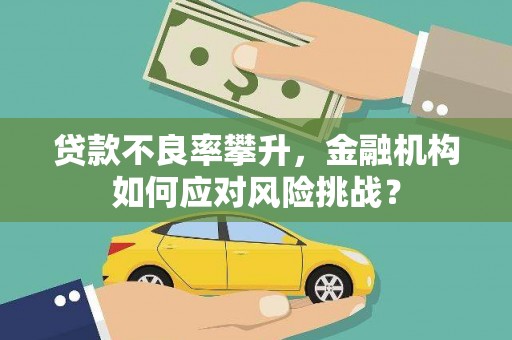 永善贷款不良率攀升，金融机构如何应对风险挑战？