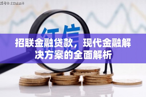 永善招联金融贷款，现代金融解决方案的全面解析