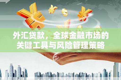 永善外汇贷款，全球金融市场的关键工具与风险管理策略