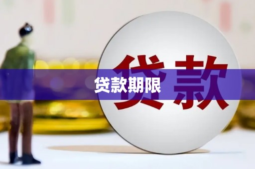 永善贷款期限