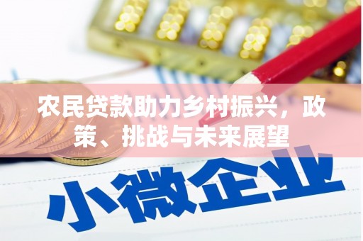 永善农民贷款助力乡村振兴，政策、挑战与未来展望