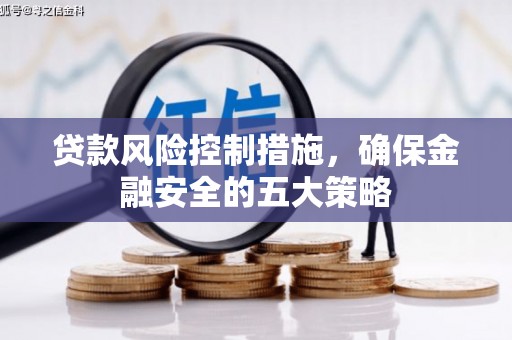 永善贷款风险控制措施，确保金融安全的五大策略