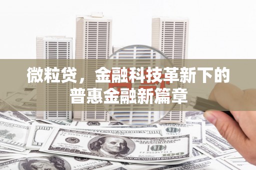 永善微粒贷，金融科技革新下的普惠金融新篇章