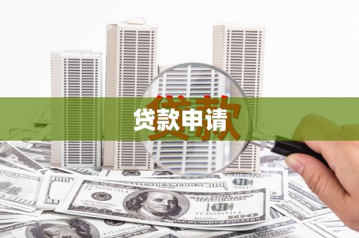 永善贷款申请
