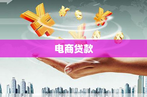 永善电商贷款