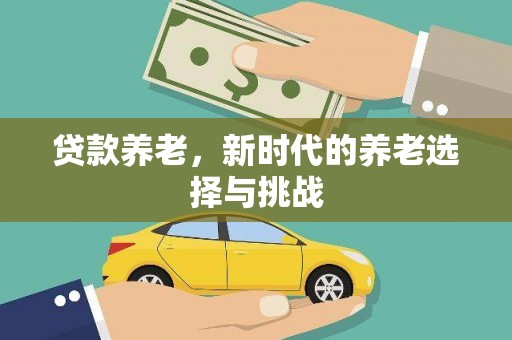 永善贷款养老，新时代的养老选择与挑战