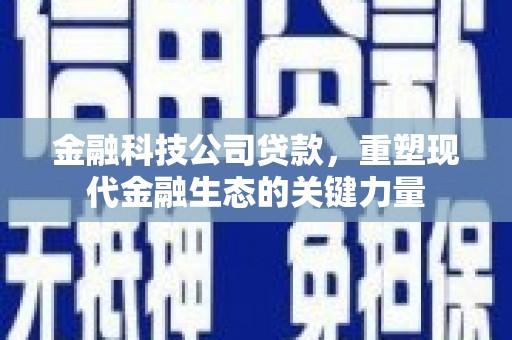 永善金融科技公司贷款，重塑现代金融生态的关键力量