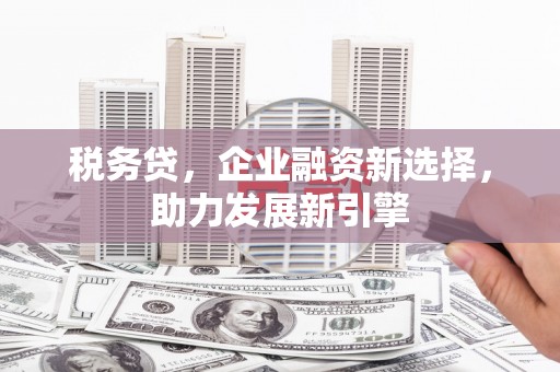 永善税务贷，企业融资新选择，助力发展新引擎