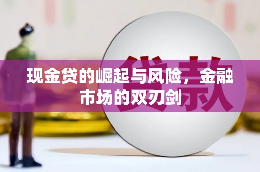 永善现金贷的崛起与风险，金融市场的双刃剑