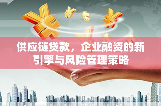 永善供应链贷款，企业融资的新引擎与风险管理策略
