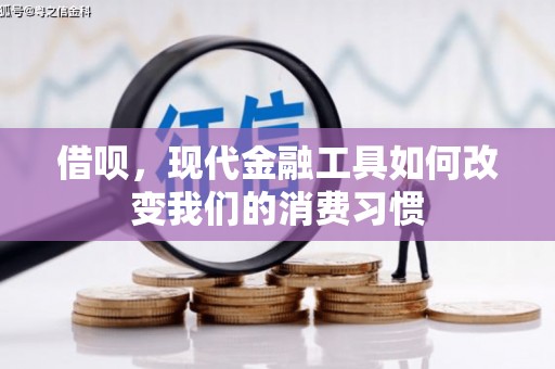 永善借呗，现代金融工具如何改变我们的消费习惯