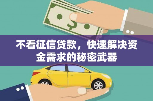 永善不看征信贷款，快速解决资金需求的秘密武器