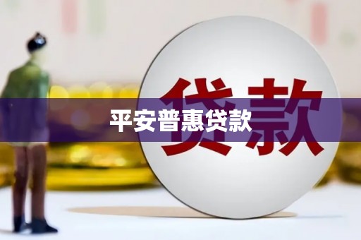 永善平安普惠贷款