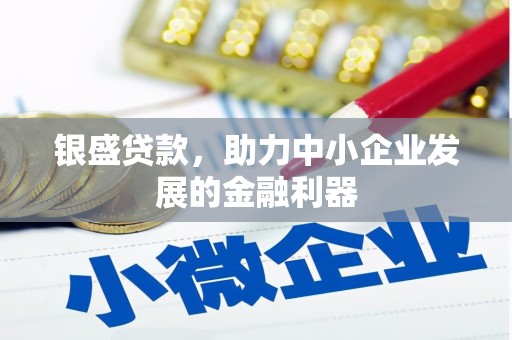 永善银盛贷款，助力中小企业发展的金融利器
