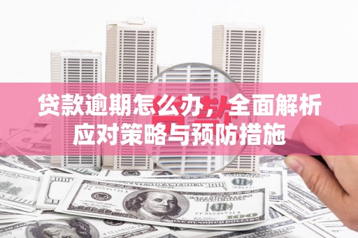 永善贷款逾期怎么办，全面解析应对策略与预防措施