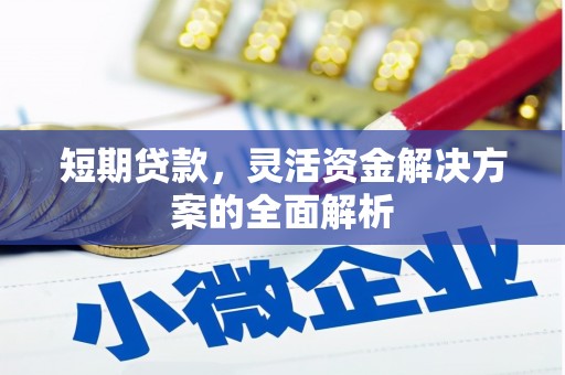 永善短期贷款，灵活资金解决方案的全面解析
