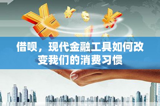 永善借呗，现代金融工具如何改变我们的消费习惯
