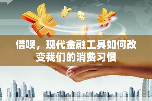 永善借呗，现代金融工具如何改变我们的消费习惯
