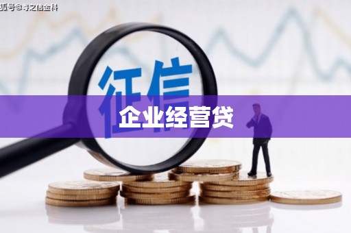 永善企业经营贷