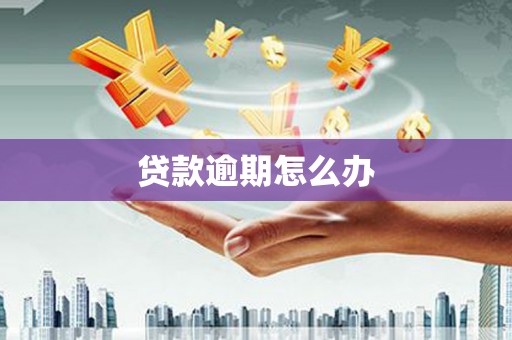 永善贷款逾期怎么办