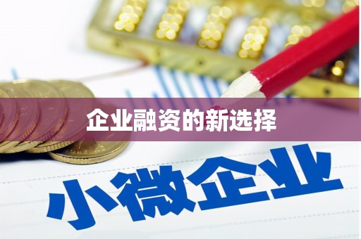 永善企业融资的新选择
