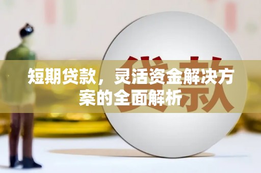 永善短期贷款，灵活资金解决方案的全面解析
