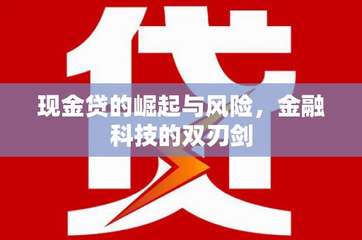永善现金贷的崛起与风险，金融科技的双刃剑
