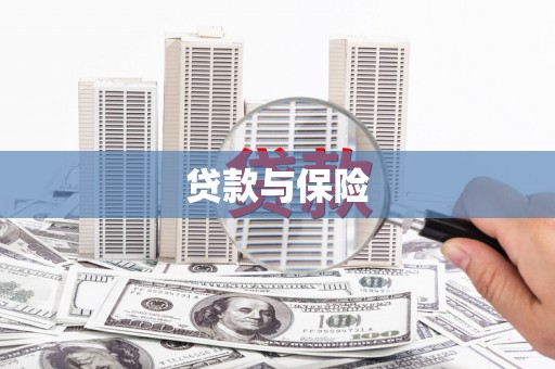 永善贷款与保险