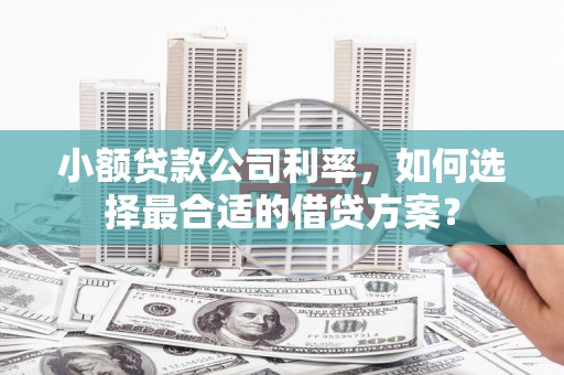 永善小额贷款公司利率，如何选择最合适的借贷方案？