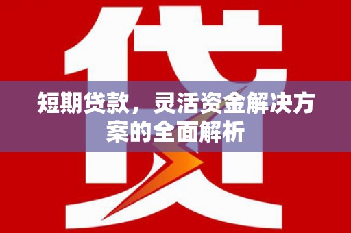 永善短期贷款，灵活资金解决方案的全面解析