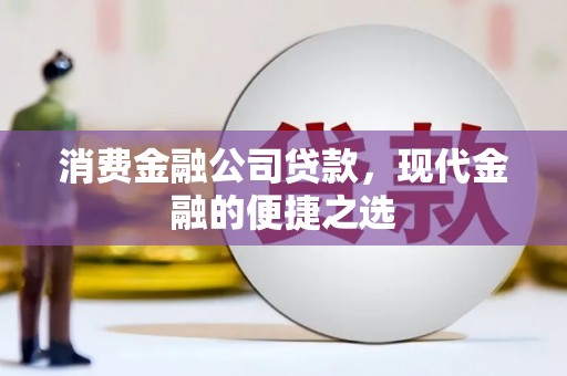 永善消费金融公司贷款，现代金融的便捷之选