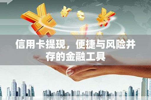 永善信用卡提现，便捷与风险并存的金融工具