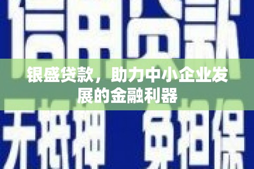 永善银盛贷款，助力中小企业发展的金融利器