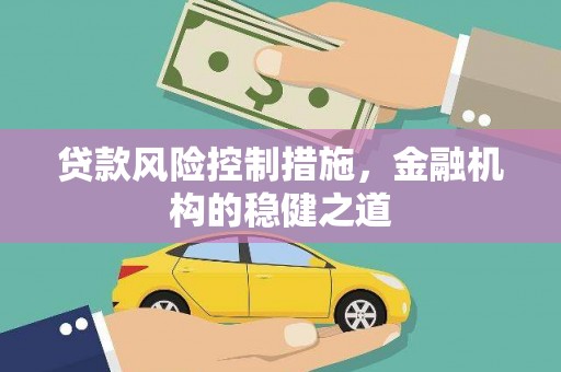永善贷款风险控制措施，金融机构的稳健之道