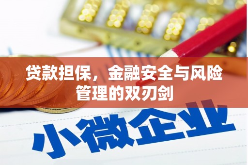 永善贷款担保，金融安全与风险管理的双刃剑