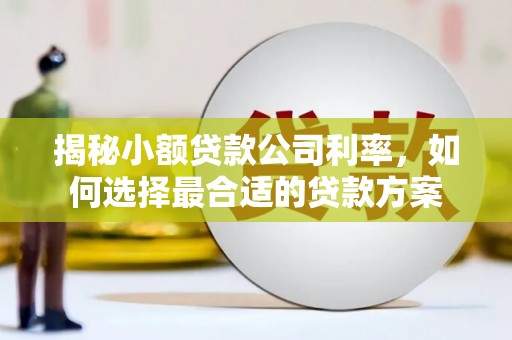 永善揭秘小额贷款公司利率，如何选择最合适的贷款方案