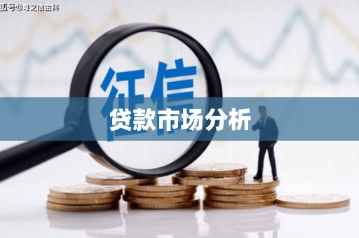 永善贷款市场分析