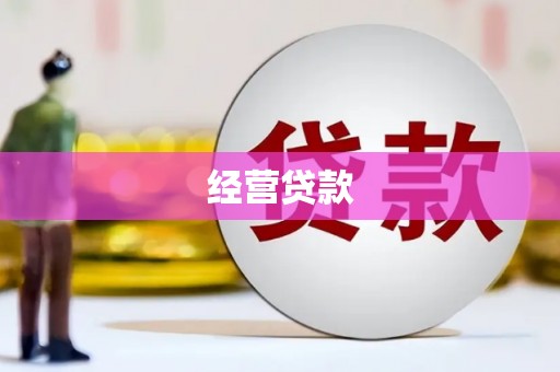 永善经营贷款