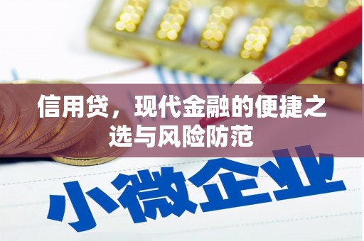 永善信用贷，现代金融的便捷之选与风险防范