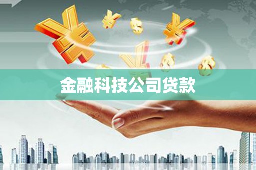 永善金融科技公司贷款
