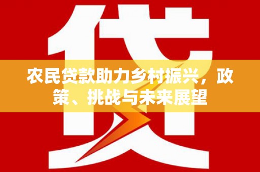 永善农民贷款助力乡村振兴，政策、挑战与未来展望