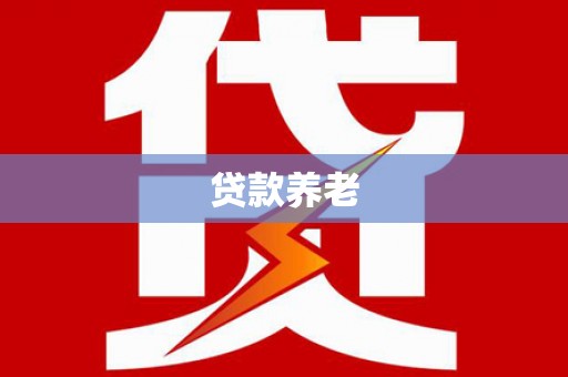 永善贷款养老