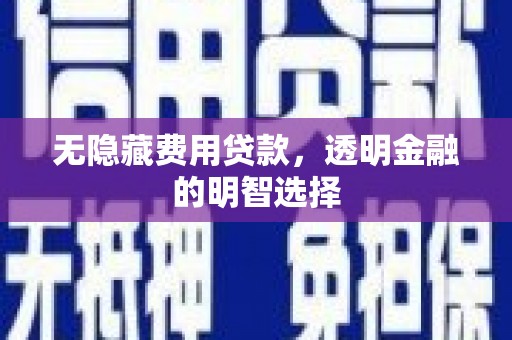 永善无隐藏费用贷款，透明金融的明智选择