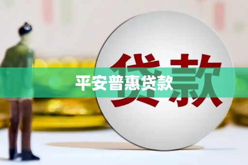 永善平安普惠贷款