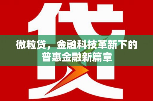 永善微粒贷，金融科技革新下的普惠金融新篇章