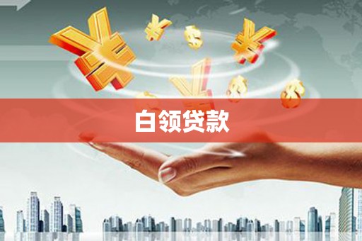 永善白领贷款
