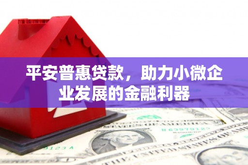 永善平安普惠贷款，助力小微企业发展的金融利器