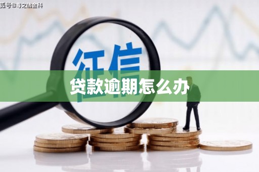 永善贷款逾期怎么办