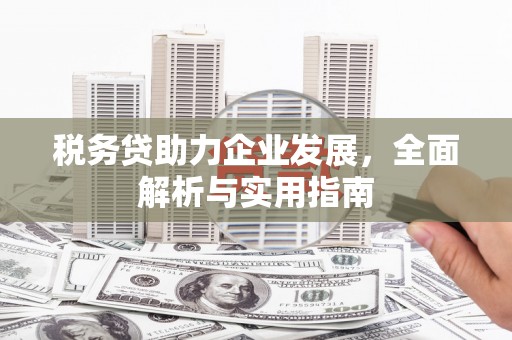 永善税务贷助力企业发展，全面解析与实用指南