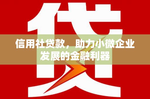 永善信用社贷款，助力小微企业发展的金融利器